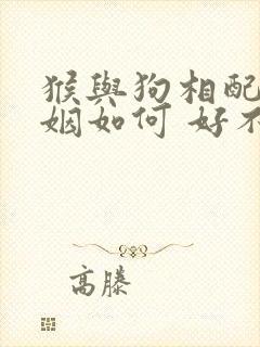 猴与狗相配的婚姻如何 好不好呢