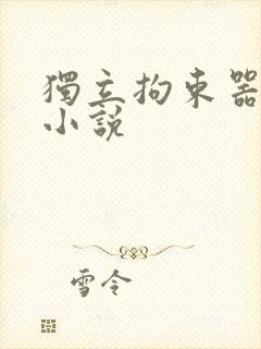 独立拘束器自缚小说