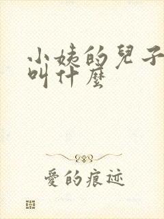 小姨的儿子应该叫什么