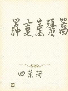 男士生殖器痒还肿是怎么回事