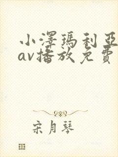 小泽玛利亚在线av播放免费