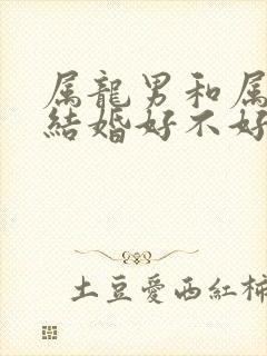 属龙男和属女蛇结婚好不好