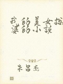 我的美女总裁老婆的小说封面