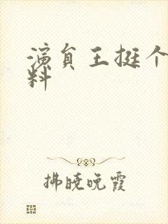 演员王挺个人资料