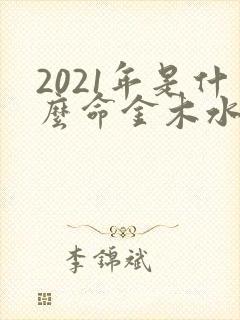 2021年是什么命金木水火土
