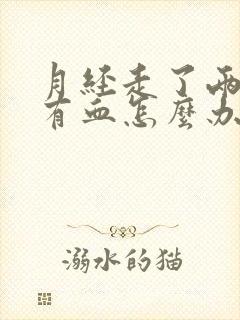 月经走了两天又有血怎么办