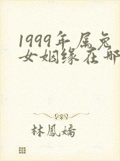 1999年属兔女姻缘在哪年