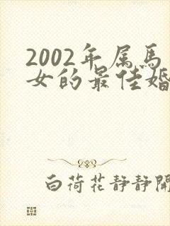 2002年属马女的最佳婚配属相