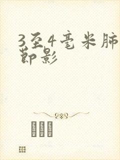 3至4毫米肺结节影