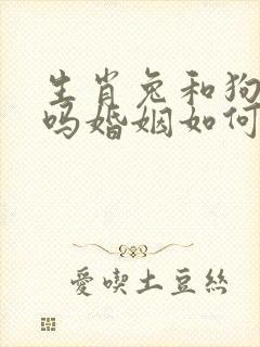 生肖兔和狗相配吗婚姻如何