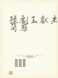 豫剧王献光个人简历封面