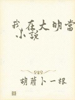 我在大明当暴君 小说