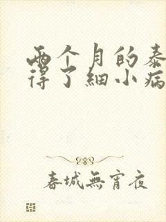 两个月的泰迪狗得了细小病怎么治封面