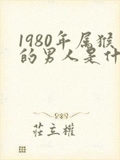 1980年属猴的男人是什么命