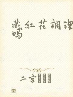 藏红花调理月经吗封面