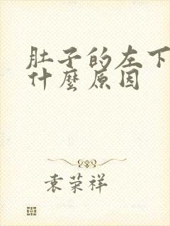 肚子的左下角痛什么原因