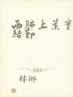 两肺上叶实性微结节