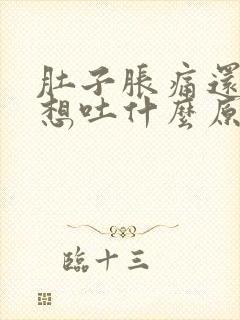 肚子胀痛还恶心想吐什么原因引起的