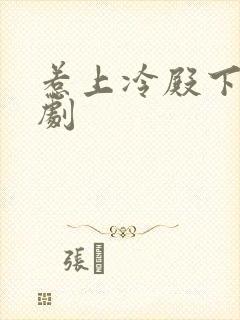 惹上冷殿下电视剧