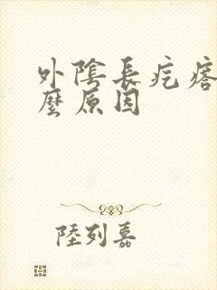 外阴长疙瘩有什么原因