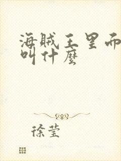 海贼王里面的船叫什么