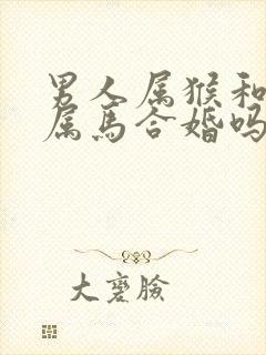 男人属猴和女人属马合婚吗封面