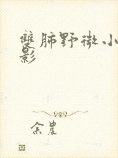 双肺野微小结节影