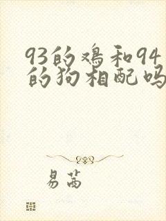 93的鸡和94的狗相配吗