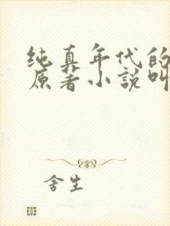 纯真年代的爱情原著小说叫什么名字