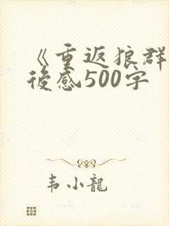 《重返狼群》读后感500字