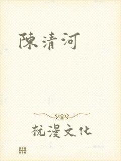 陈清河封面
