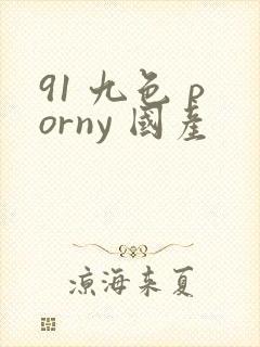 91 九色 porny 国产