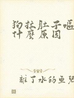 狗拉肚子呕吐是什么原因