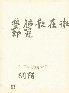 双肺散在微小结节灶