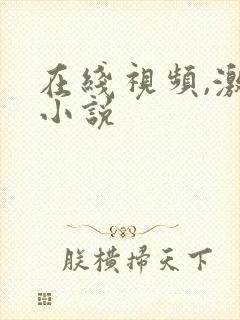 在线视频,激情小说