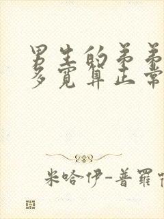 男生的弟弟多长多宽算正常封面