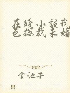 在线小说我的绝色总裁未婚妻封面