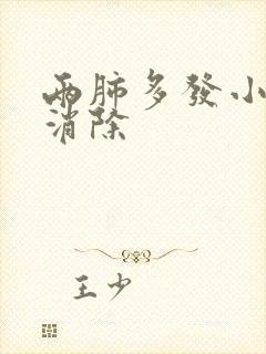 两肺多发小结节消除