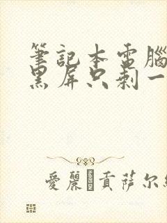 笔记本电脑打开黑屏只剩一个鼠标