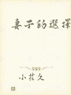 妻子的选择小说