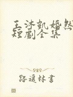 王沐凯婚然心动短剧全集封面