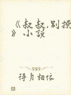 《叔叔,别撩我》小说封面