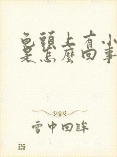 龟头上有小红点是怎么回事也不痛不痒