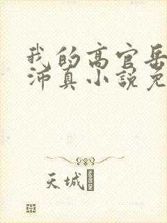 我的高官岳母苏沛真小说免费阅读封面