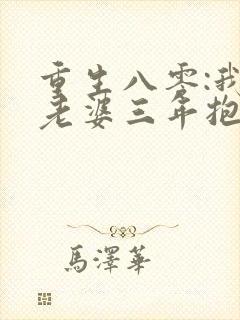 重生八零:我让老婆三年抱了俩