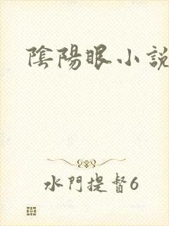阴阳眼小说