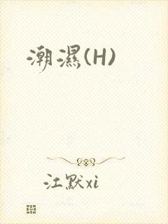 潮湿(H)