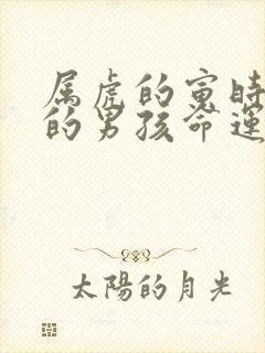 属虎的寅时出生的男孩命运