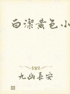 白洁黄色小说