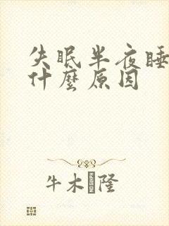 失眠半夜睡不着什么原因